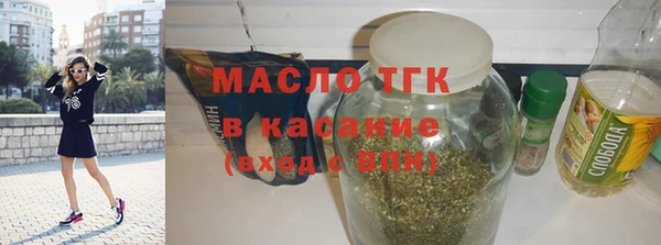 индика Каменка