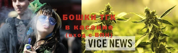 шишки Нязепетровск