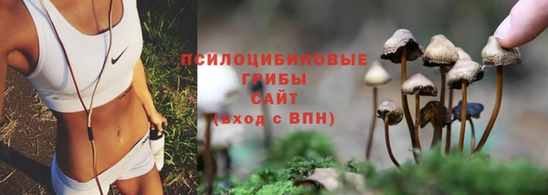 герыч Нягань