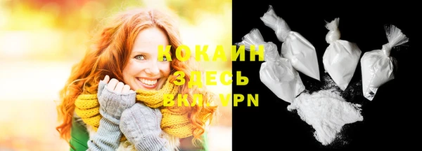 шишки Нязепетровск