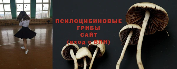 шишки Нязепетровск