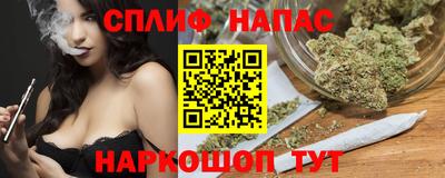 стаф Моздок