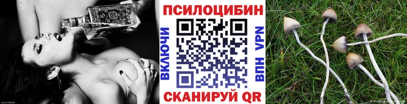 кракен tor  Нижнеудинск  Псилоцибиновые грибы Magic Shrooms  закладка 