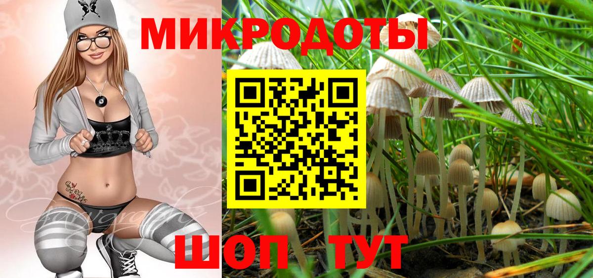 Галлюциногенные грибы MAGIC MUSHROOMS  Псилоцибиновые грибы прущие грибы  Вход с VPN  сколько стоит  Нижнеудинск 