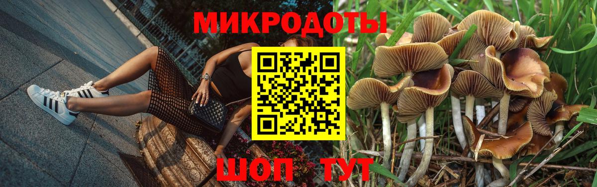 Cocaine  МДМА  Конопля  Мяу-Мяу  Нижнеудинск  25-NBOMe  Гашиш  Ешки  Вход с VPN  CBD масло 