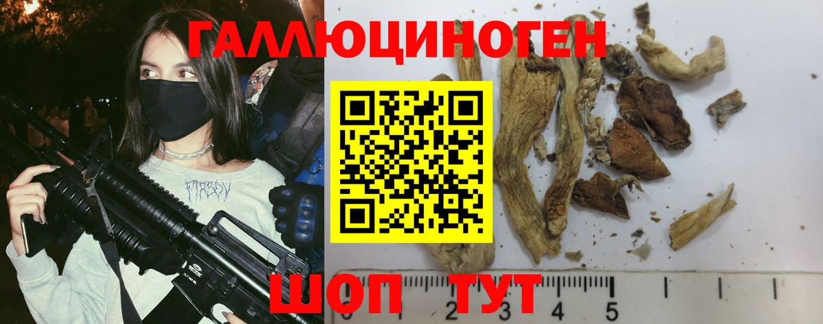 Псилоцибиновые грибы ЛСД  где можно купить наркотик  Нижнеудинск  Псилоцибиновые грибы Psilocybe 