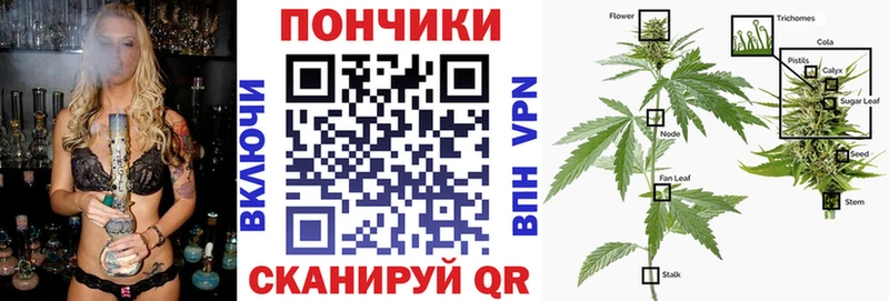 Марихуана планчик сколько стоит Нижнеудинск
